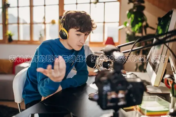 农村体育的现状与挑战：基于2016年的深入分析